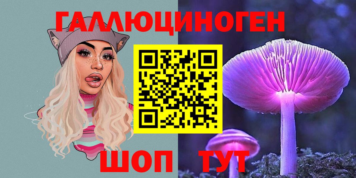 Псилоцибиновые грибы Psilocybe Родники